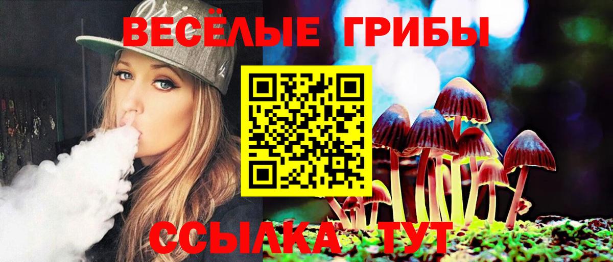 Псилоцибиновые грибы мицелий Железноводск